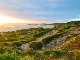 Beachport Conservation Park - Accommodation Search 0