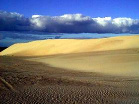 Beachport Conservation Park - Accommodation Search 1