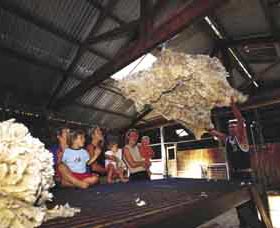 Shear Outback The Australian Shearers Hall Of Fame - Accommodation Search 0