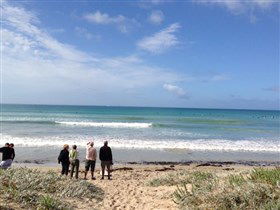 Beachport Surf Beach - Accommodation Search 2