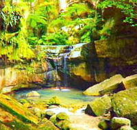 Carnarvon Gorge Carnarvon National Park - Accommodation Search