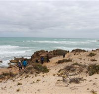 The Seaview Walking Trail - Accommodation Search