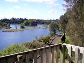 Lake McIntyre - Accommodation Search 0