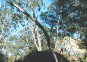 Dunrobin ACT Accommodation Search