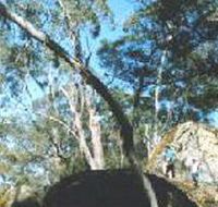 Dergholm State Park - Accommodation Search