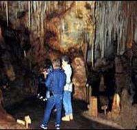 Tantanoola Caves Conservation Park - Accommodation Search