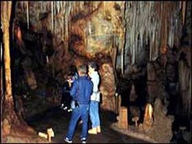 Tantanoola Caves Conservation Park - Accommodation Search 0