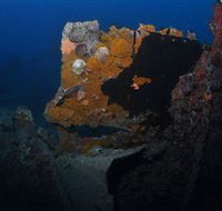 Lady Bowen Dive Site - Accommodation Search