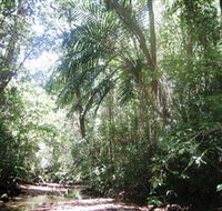 Mount Lewis National Park - Accommodation Search