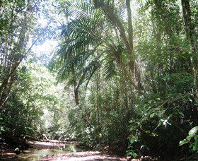 Mount Lewis National Park - Accommodation Search 0