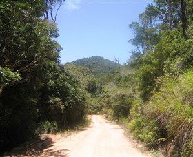 Mount Lewis National Park - Accommodation Search 2