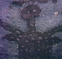 Quinkan Reserves Ancient Rock Art - Accommodation Search