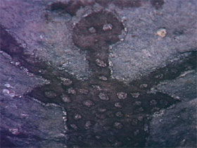 Quinkan Reserves Ancient Rock Art - Accommodation Search 0