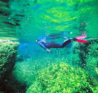 Piccaninnie Ponds Conservation Park - Accommodation Search
