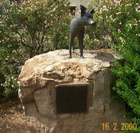 Dingo Statue - Accommodation Search