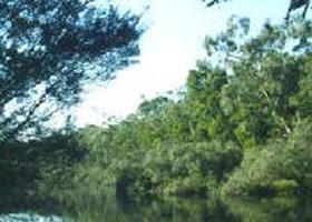 Hotspur ACT Accommodation Search