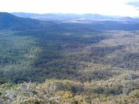 Mia Mia State Forest - Accommodation Search 1