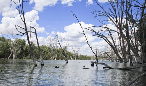 Murrumbidgee Valley National Park - Accommodation Search 0