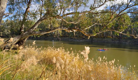 Murrumbidgee Valley National Park - Accommodation Search 3