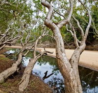 Oyala Thumotang National Park CYPAL - Accommodation Search