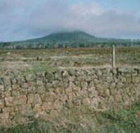 Mount Napier State Park - Accommodation Search