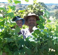 Wimmera Hills Winery - Accommodation Search