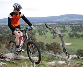 Wimmera Hills Winery - Accommodation Search 2