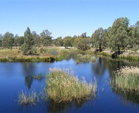 Narrandera Wetlands - Accommodation Search 0