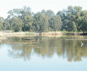 Narrandera Wetlands - Accommodation Search 1