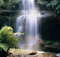 Mount Buangor State Park - Accommodation Search