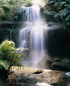 Mount Buangor State Park - Accommodation Search 0