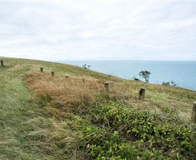 Cape Palmerston National Park - Accommodation Search 3
