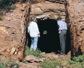 Joker's Tunnel - Accommodation Search 0