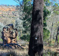 Eualdrie walking track - Accommodation Search