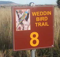 Weddin Bird Trails - Accommodation Search