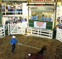 Gracemere Exhibition Complex - Accommodation Search