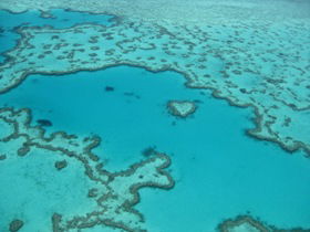 Heart Reef - Accommodation Search 0