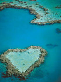 Heart Reef - Accommodation Search 3