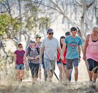 Winton Wetlands Reserve - Accommodation Search
