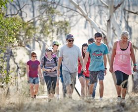 Winton Wetlands Reserve - Accommodation Search 0