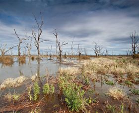 Winton Wetlands Reserve - Accommodation Search 4