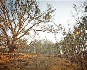 Winton Wetlands Reserve - Accommodation Search 2