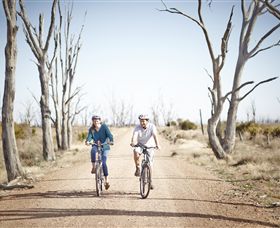 Winton Wetlands Reserve - Accommodation Search 6