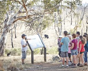 Winton Wetlands Reserve - Accommodation Search 5