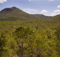 Kutini-Payamu Iron Range National Park CYPAL - Accommodation Search