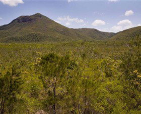 Kutini-Payamu (Iron Range) National Park (CYPAL) - Accommodation Search 0