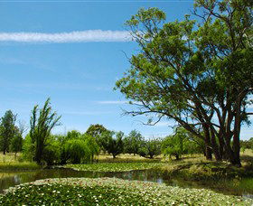 Wirraminna Environmental Education Centre - Accommodation Search 0