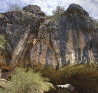 Borenore Karst Conservation Reserve - Accommodation Search