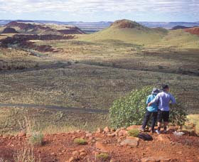 Mount Herbert - Accommodation Search 1
