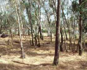 Chiltern-Mt Pilot National Park - Accommodation Search 0